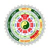 我是演员 